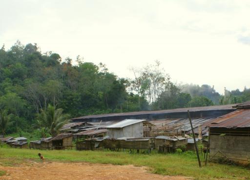 Achterkant van de Longhouse