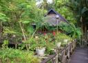 Onze bungalow in het Sepilok Nature Resort