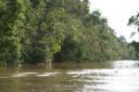 De Kinabatangan River