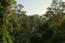 Het mooie uitzicht vanaf de Canopy Walk