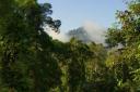 Mist die omhoog komt tussen de bomen, prachtig!