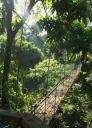 De Canopy Walk in Danum Valley, 30m boven de grond
