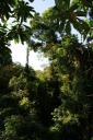 Uitzicht vanaf de Canopy Walk