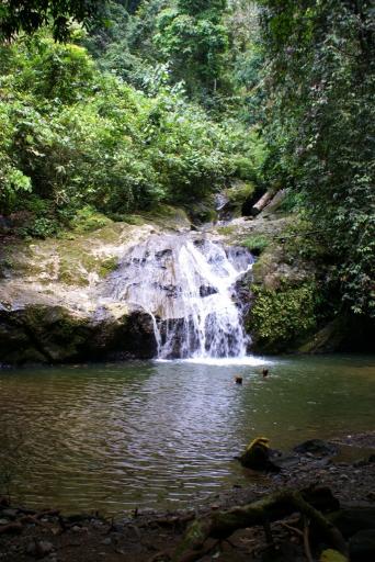 Schitterende waterval in de jungle, lekker zwemmen