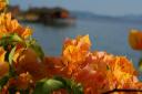 Bougainville met ons resort op de achtergrond