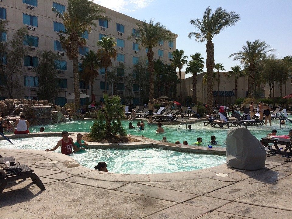 Laughlin Koa / Avi