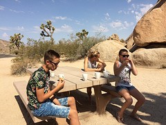 Joshua Tree