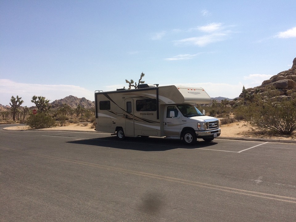 Joshua Tree