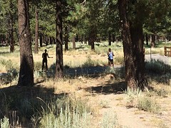 Mammoth Lakes