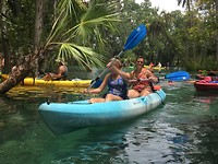 Three Sister Springs