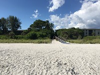 IMG_4394