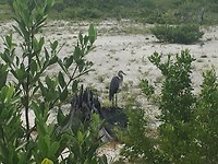 Lovers Key State Park
