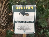 Lovers Key State Park