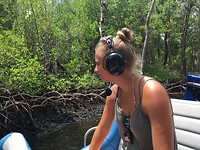 Everglades City Airboat Tours