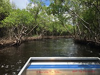 Everglades City Airboat Tours