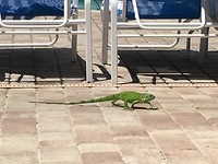 Key West