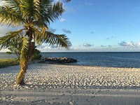 Key West ochtend