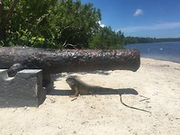 John Pennekamp State Park