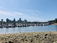 Stanley Park