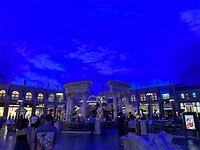 IMG_2230