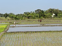 IMG_3226