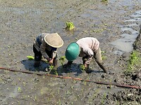IMG_3227
