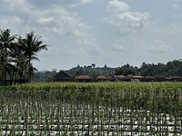 IMG_3246