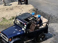 IMG_3295
