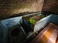 IMG_3309