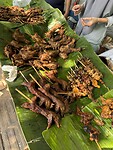 IMG_3324