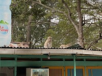 IMG_3342