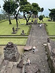 IMG_3355