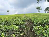 IMG_3359