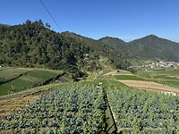 IMG_3365