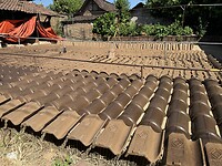 IMG_3371