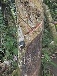 IMG_3452
