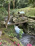 IMG_3479