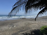 IMG_3499
