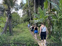 IMG_3533