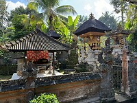 IMG_3536