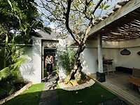 IMG_3581
