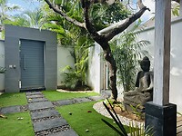 IMG_3582