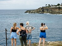 IMG_3598