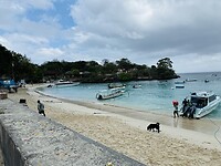 IMG_3591