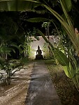 IMG_3588