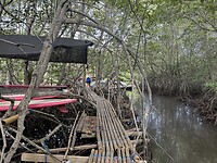 IMG_3607