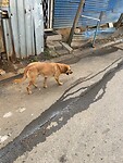 IMG-20240427-WA0034