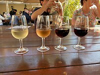 IMG-20240428-WA0014