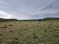 20240504_161825