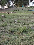 20240507_073644